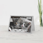 Fun Heart to Heart Sister Birthday Cat Animal Card<br><div class="desc">If you love Cats or Animals this card will bring a smile to your face  Perfect for the sister who loves Cats.  We may not always see eye to eye but always heart to heart</div>