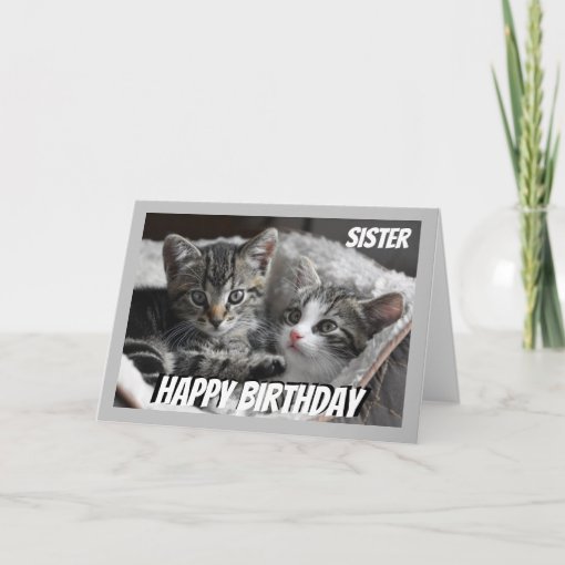 Fun Heart to Heart Sister Birthday Cat Animal Card | Zazzle