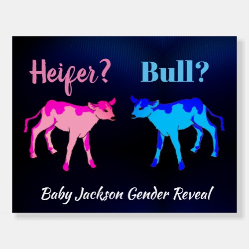 Fun Heifer or Bull Gender Reveal  Foam Board