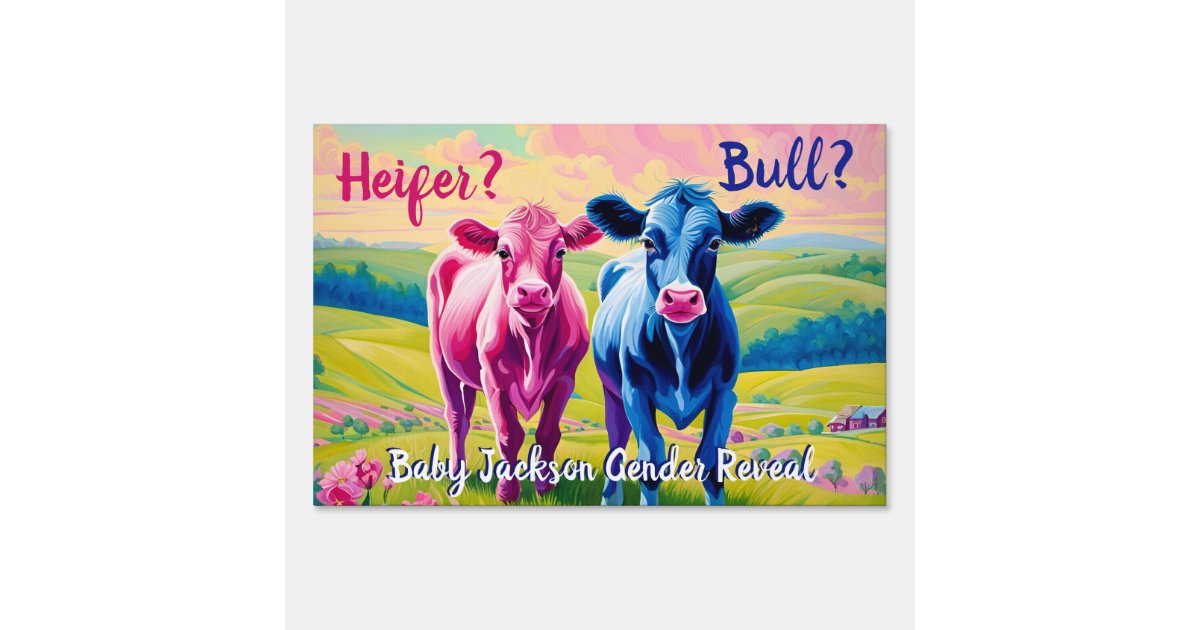 Fun Heifer or Bull Gender Reveal Sign Zazzle