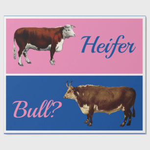Fun Heifer or Bull Gender Reveal with Cattle Wrapping Paper