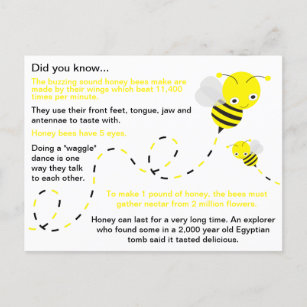 Fun Honey Bee Facts Postcard
