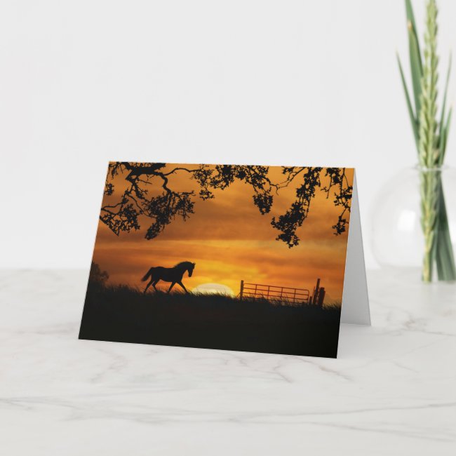 Fun Horse Themed Happy Birthday Card