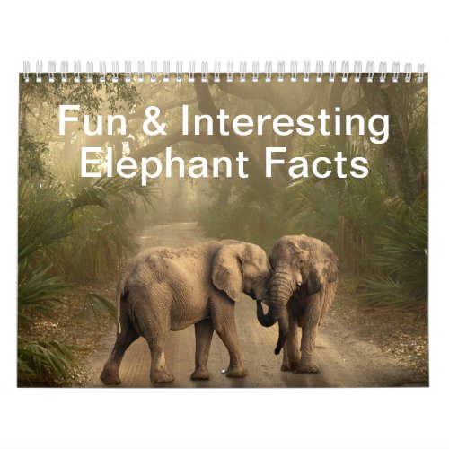 Fun  Interesting Facts About Elephants Calendar