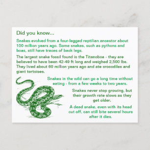 Fun & Interesting Snake Facts Postcard