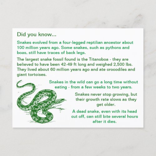 Fun  Interesting Snake Facts Postcard