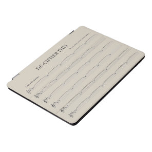 Fun iPad pro case