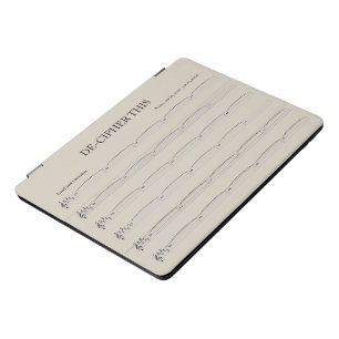 Fun iPad pro case