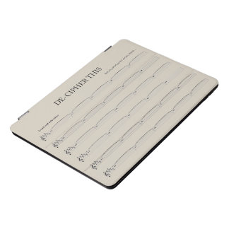 Fun iPad pro case