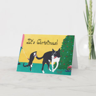 Fun Its Christmas Dog Cat Playing Tree Cards