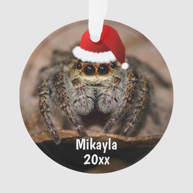 Fun Jumping Spider in Santa Hat Christmas Ornament (Front)