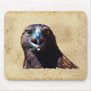 Fun Juvenile Bald Eagle Bad Attitude Wildlife Mouse Pad