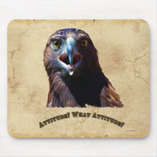 Fun Juvenile Bald Eagle Bad Attitude Wildlife Mouse Pad (Front)