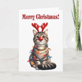 Fun Kitten Funny Cat Christmas Card