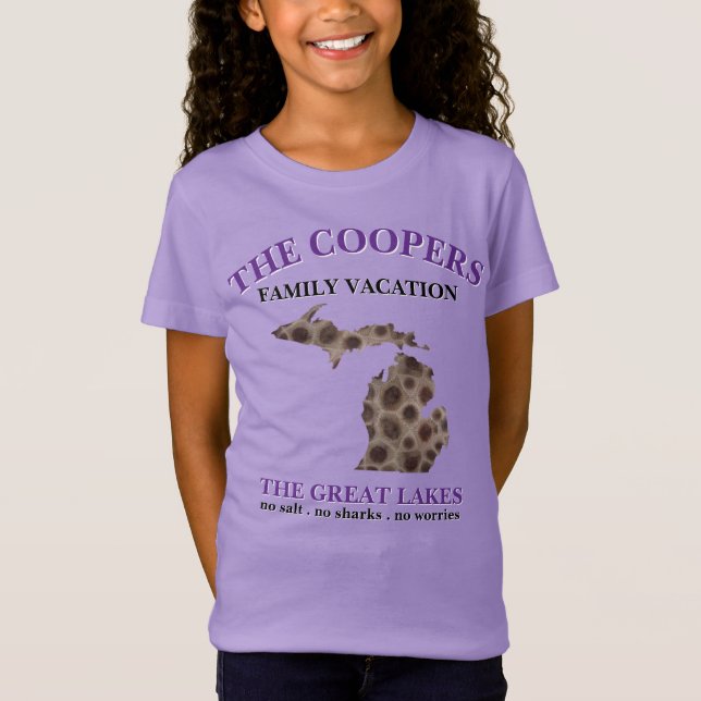 Fun Lake Michigan Great State State petoskey rocks T-Shirt (Front)