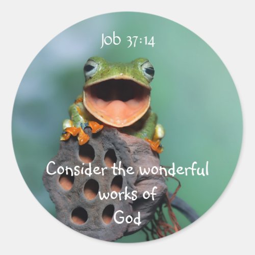 Fun Little Frog Bible Scripture Job 1214 Classic Round Sticker