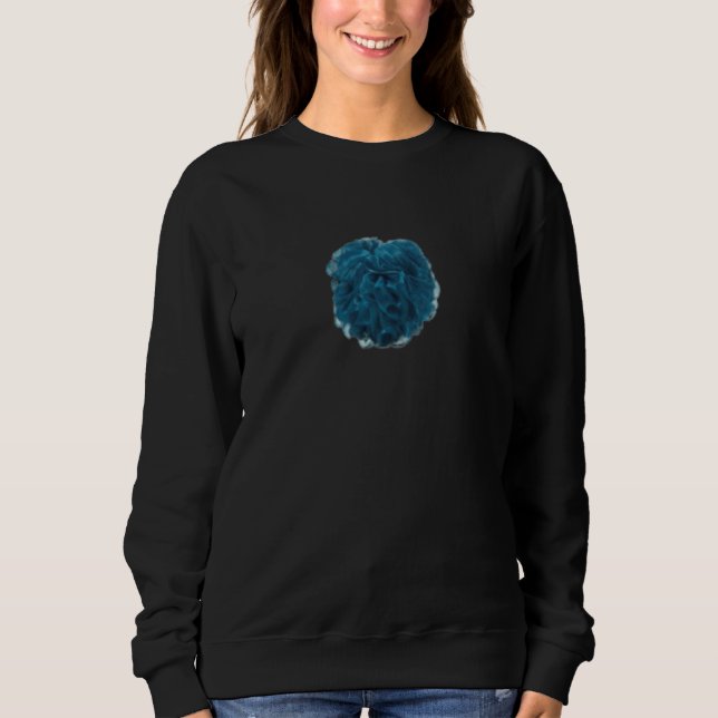 Fun Loofah Apparel Teal Loofa Sweatshirt (Front)