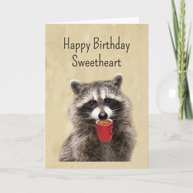 Fun Love You Birthday Sweetheart Fun Raccoon Card (Front)