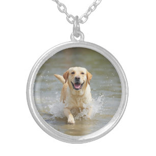 Fun-loving Labrador Round Silver Plated Necklace