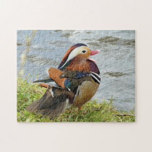 Fun-loving Mandarin duck Jigsaw Puzzle