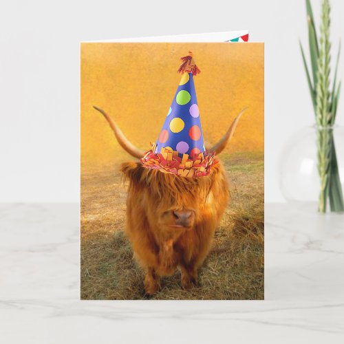 Fun Loving Scottish Highland Steer Birthday Card