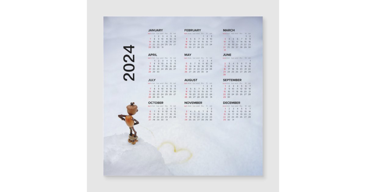 Fun magnetic calendar 2024 on the fridge | Zazzle