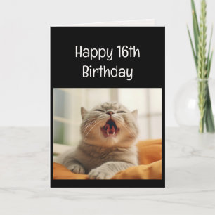 Fun Meowing Kitten 16th Birthday Animal Humor Card