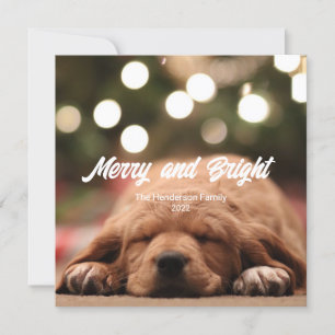 Fun Merry and Bright Photo Christmas Card