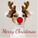 Fun Merry Christmas Dog Reindeer Animal Cutout<br><div class="desc">Fun Merry Christmas Dog Reindeer Animal costume for those who celebrate Christmas holidays with a sense of humor</div>