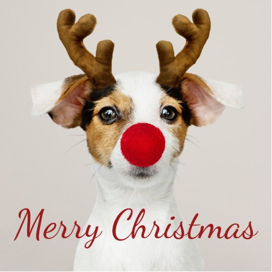 Fun Merry Christmas Dog Reindeer Animal Cutout | Zazzle.com