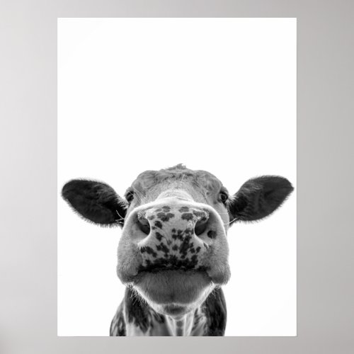 Fun Modern Black White Cow Rustic Farmhouse  Poster