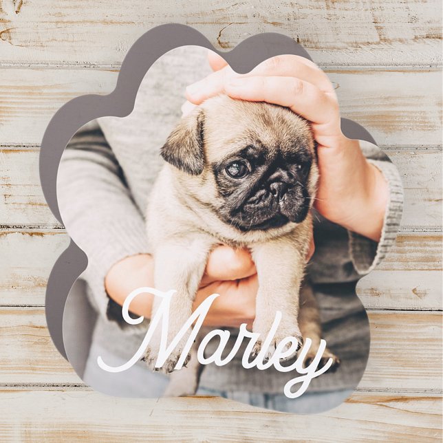 Fun Modern Simple Custom Pet Photo Keepsake Car Magnet (Creator Uploaded)