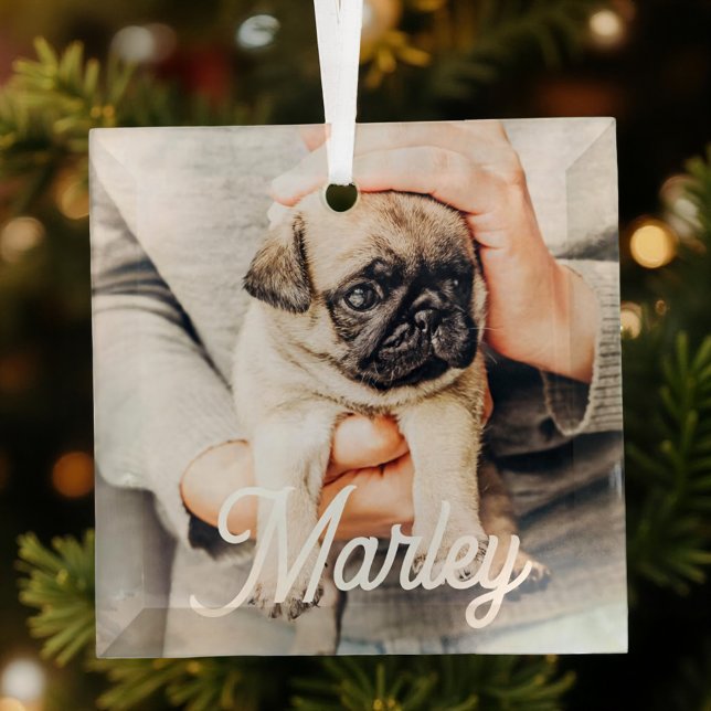 Fun Modern Simple Custom Pet Photo Keepsake Glass Ornament (Creator Uploaded)