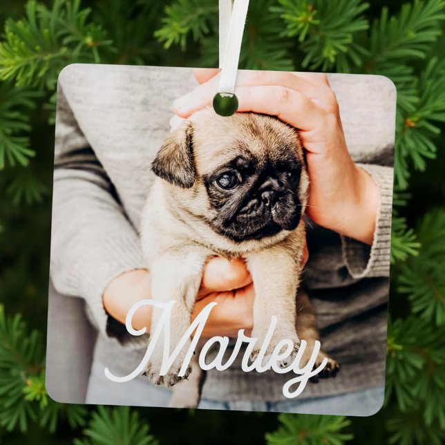 Fun Modern Simple Custom Pet Photo Keepsake Metal Ornament (Creator Uploaded)