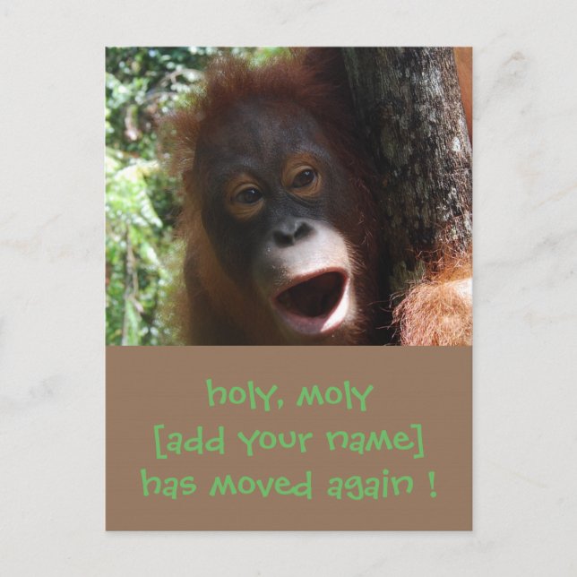 Fun Moving Change New Address Announcement Postcard (Front)