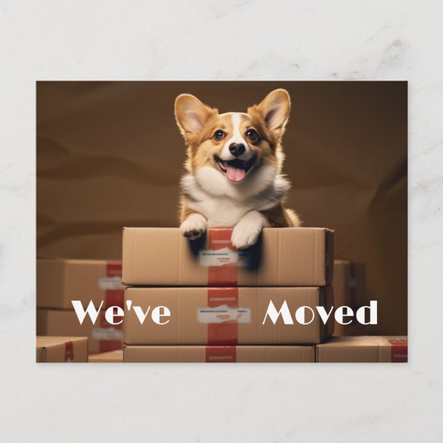 Fun New Address Reminder, New Home  Postcard (Front)