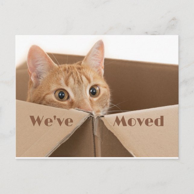 Fun New Address Reminder, New Home  Postcard (Front)