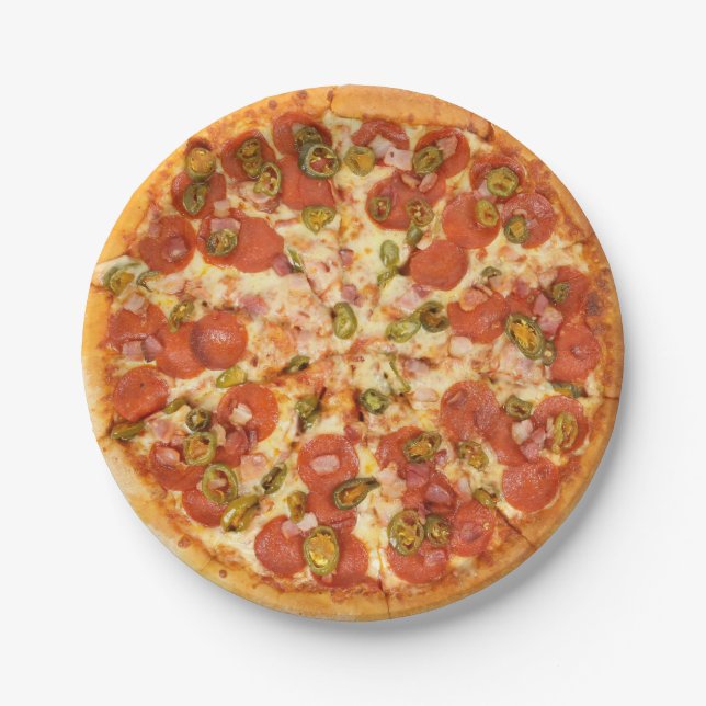 Fun Novelty Cool Cheese Pizza Grill Party Food Paper Plates (Front)