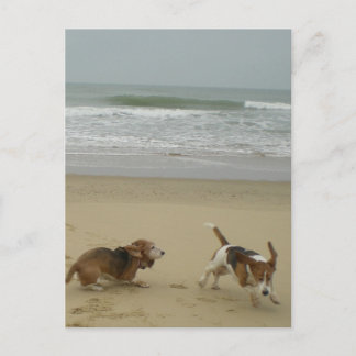 Fun on the beach postcard