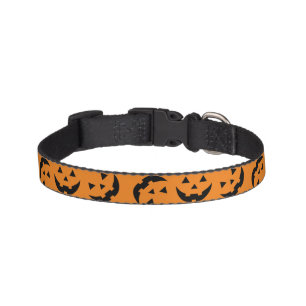 Fun orange black jack o lantern pattern Halloween Pet Collar