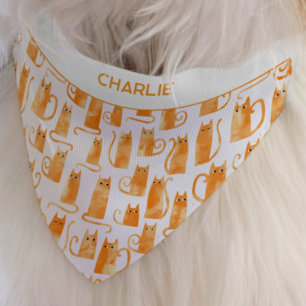 Fun Orange Ginger Cat Personalized Name Pet Bandana Collar
