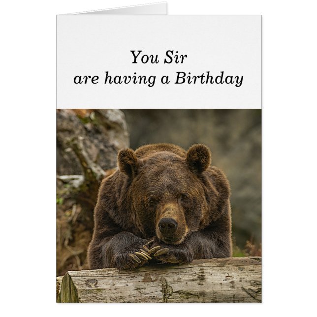 Fun Over the Hill Serious Looking Grizzly Bear Cards (Front)