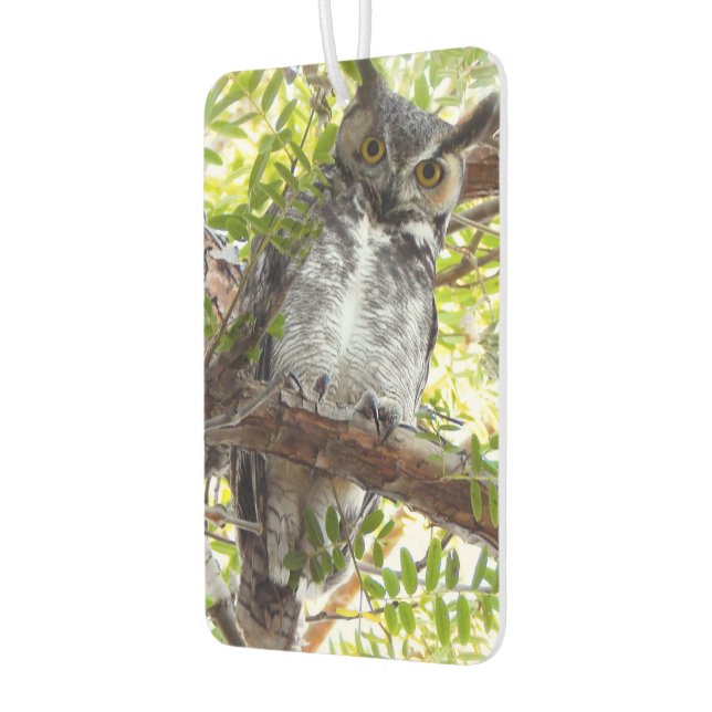 Fun Owl Looking At You Air Freshener (Left)