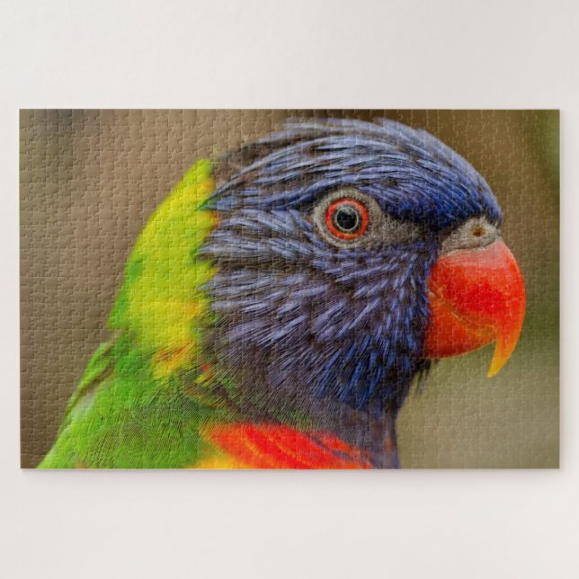 Fun Parrot Colorful Difficult 1,000 Pieces Jigsaw Puzzle (Horizontal)