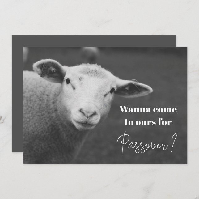 Fun Passover Invitation (Front/Back)