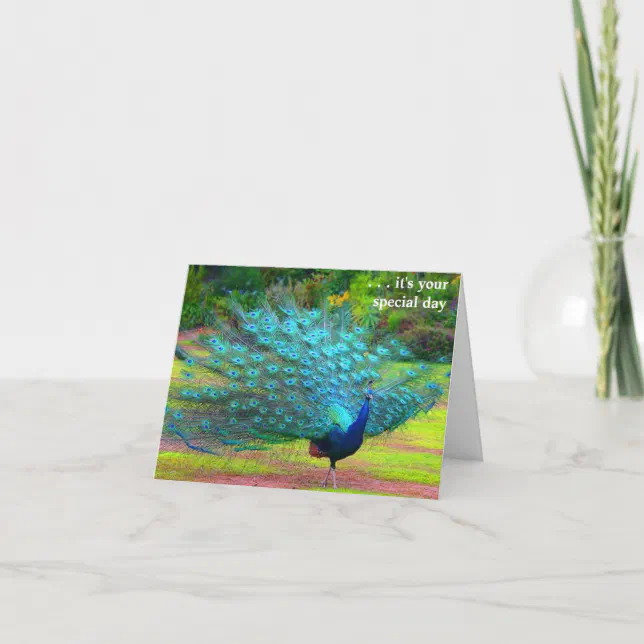 Fun Peacock Birthday Card | Zazzle