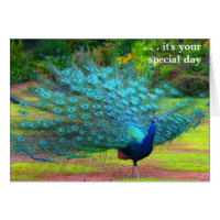 Fun Peacock Birthday Card