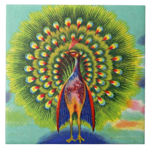 fun peacock print ceramic tile