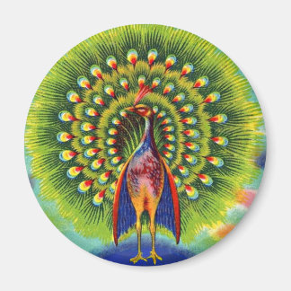 fun peacock print magnet