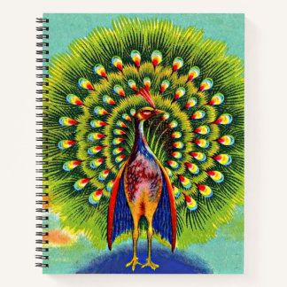 fun peacock print notebook